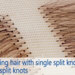 Single-Split-Knots-and-Double-Split-Knots-for-Hair-Systems