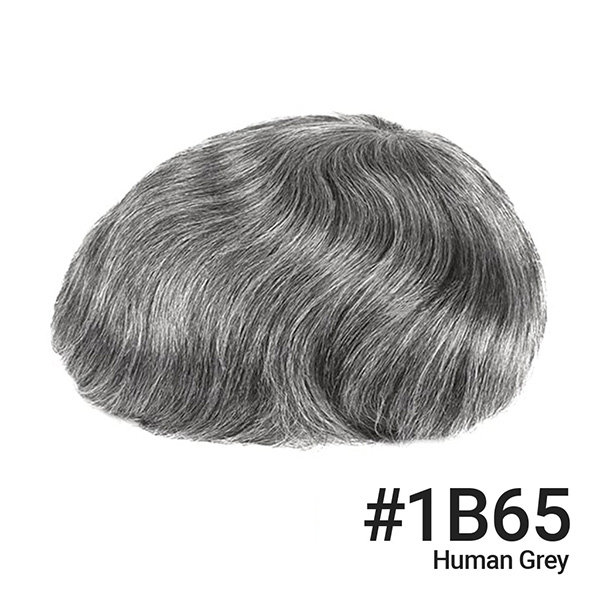 #1B65HG order NEWTIMES HAIR